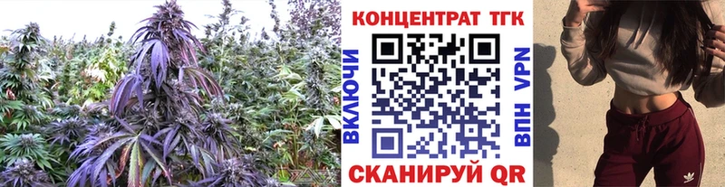 Дистиллят ТГК THC oil Радужный